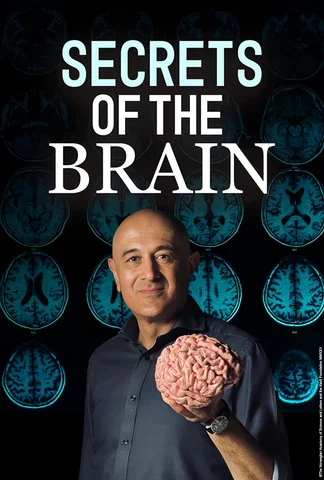 Secrets of the Brain with Jim Al-Khalili