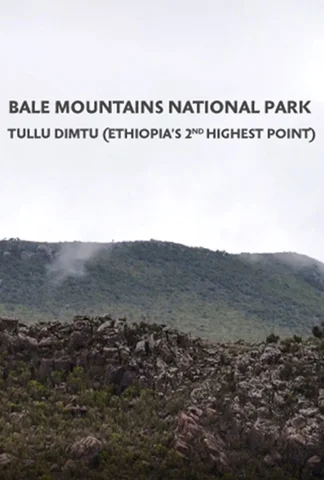 Tullu Dimtu - Ethiopia’s 2nd Highest Point