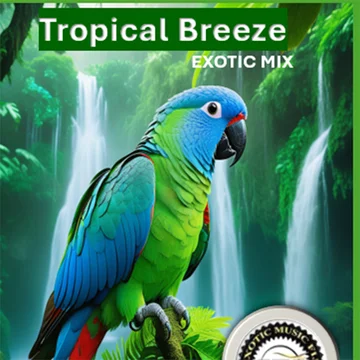 Tropical Breeze