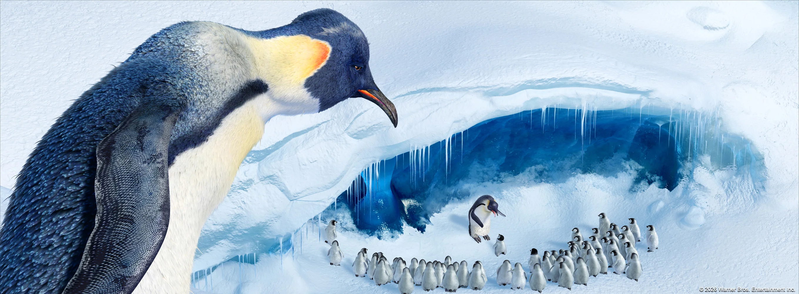 Happy Feet