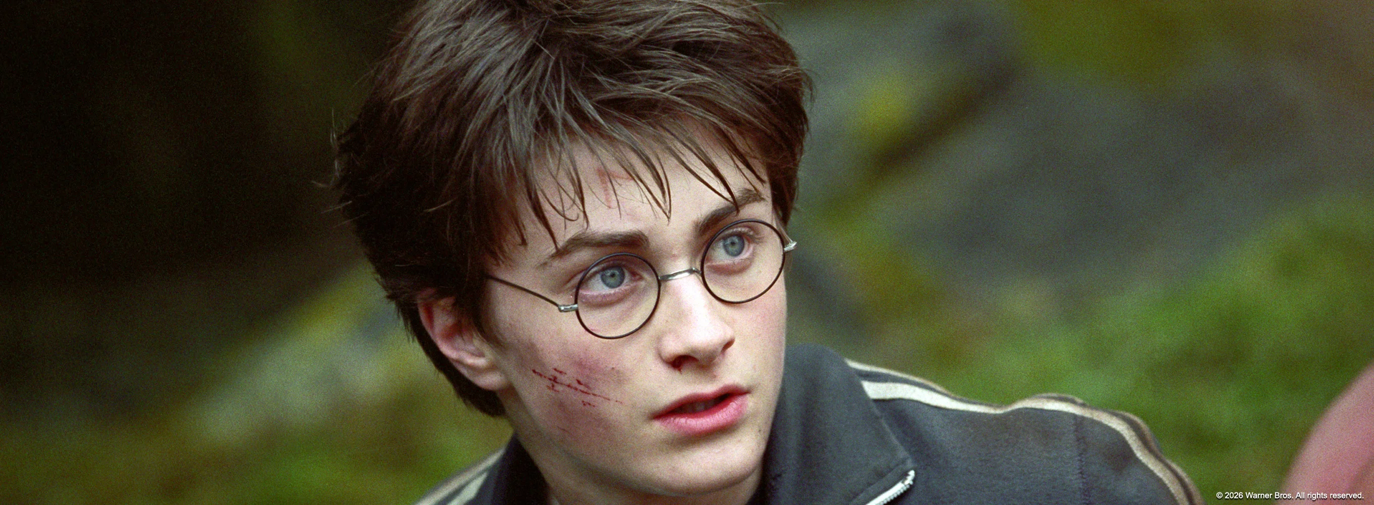 Harry Potter and the Chamber of Secrets