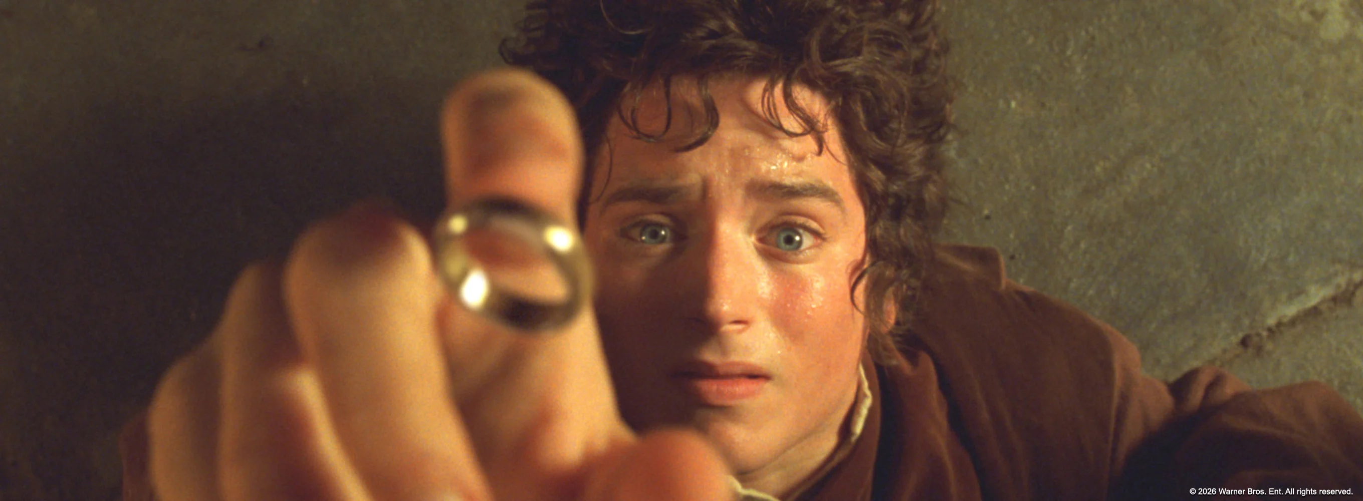 The Lord Of The Rings: The Fellowship Of The Ring