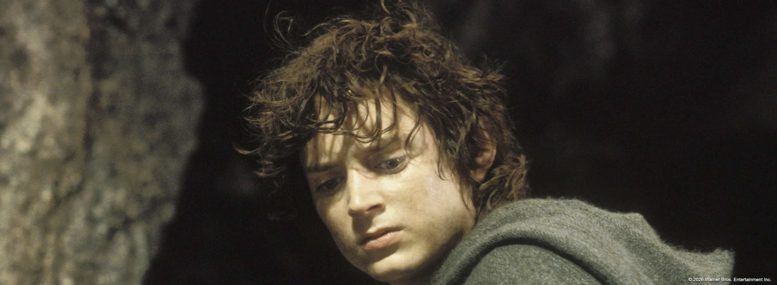 The Lord of the Rings: The Return of the King