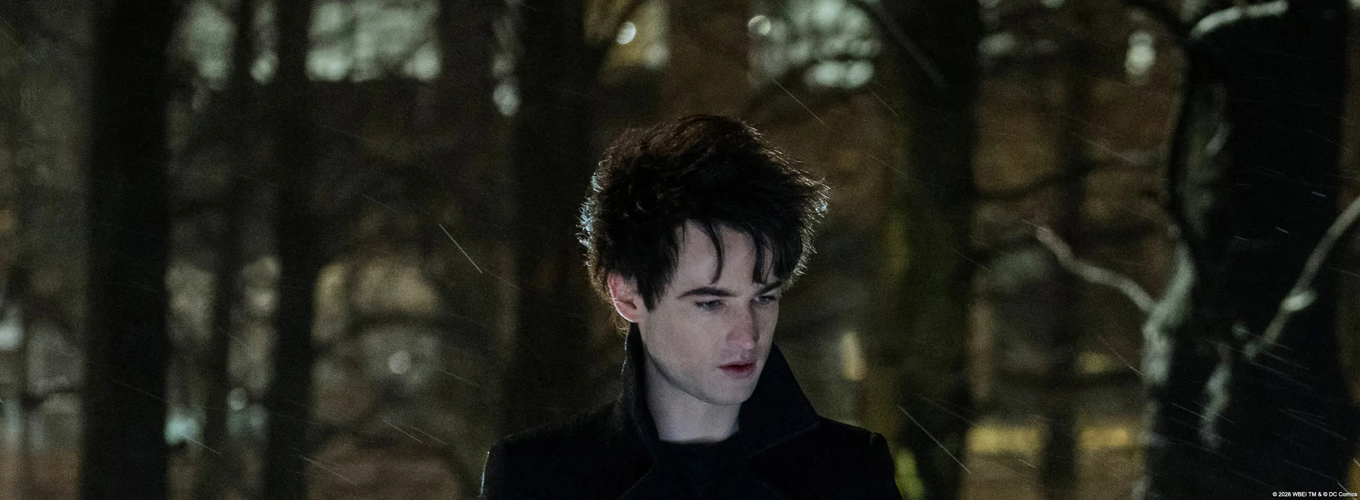 The Sandman