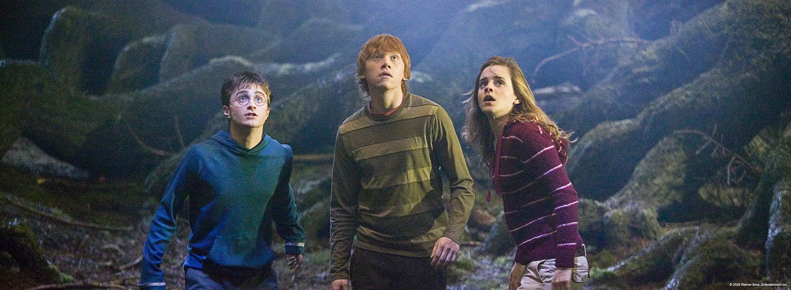 Harry Potter e a Ordem da Fênix