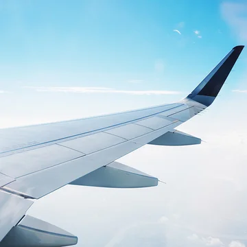 Flying High