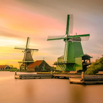Classic Dutch