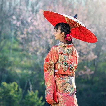 Konnichiwa Nihon - Hello Japan