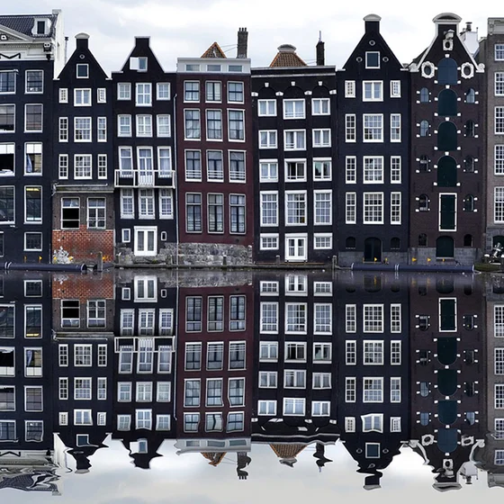 More Dutch