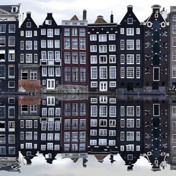 More Dutch