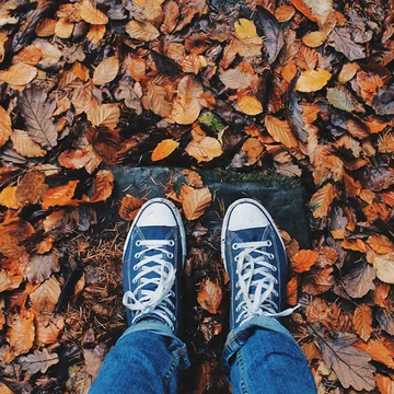 Autumn Ready