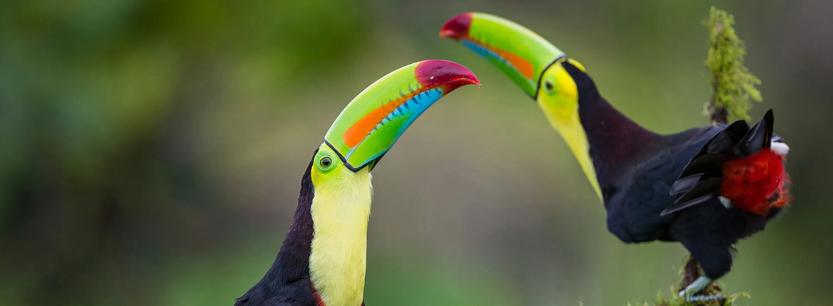Costa Rica