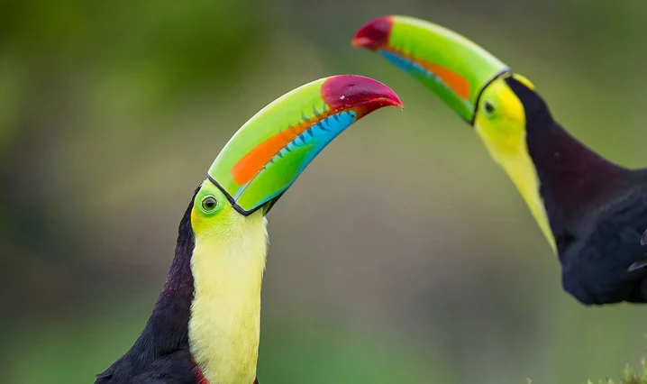 Costa Rica