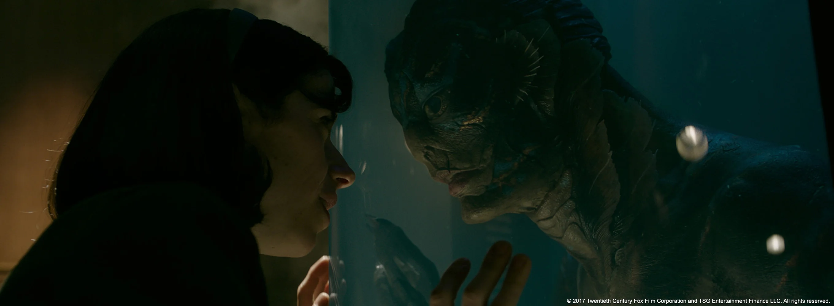 The Shape of Water