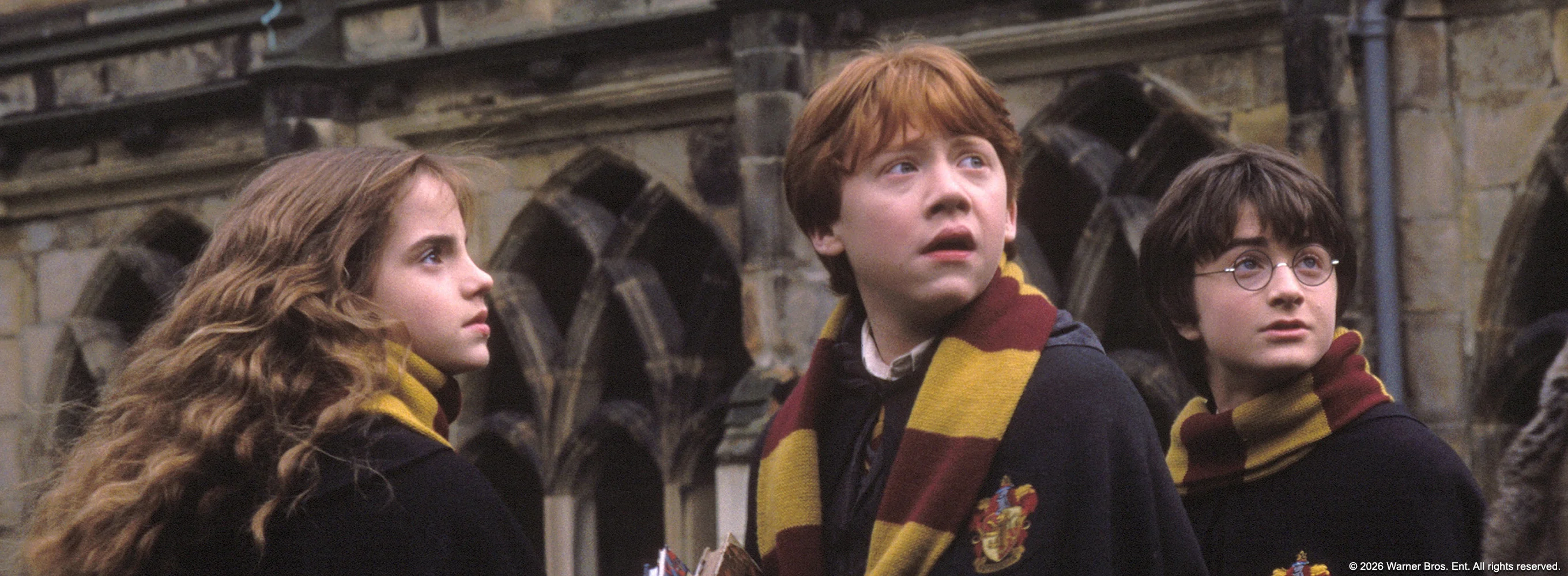 Harry Potter and the Chamber of Secrets