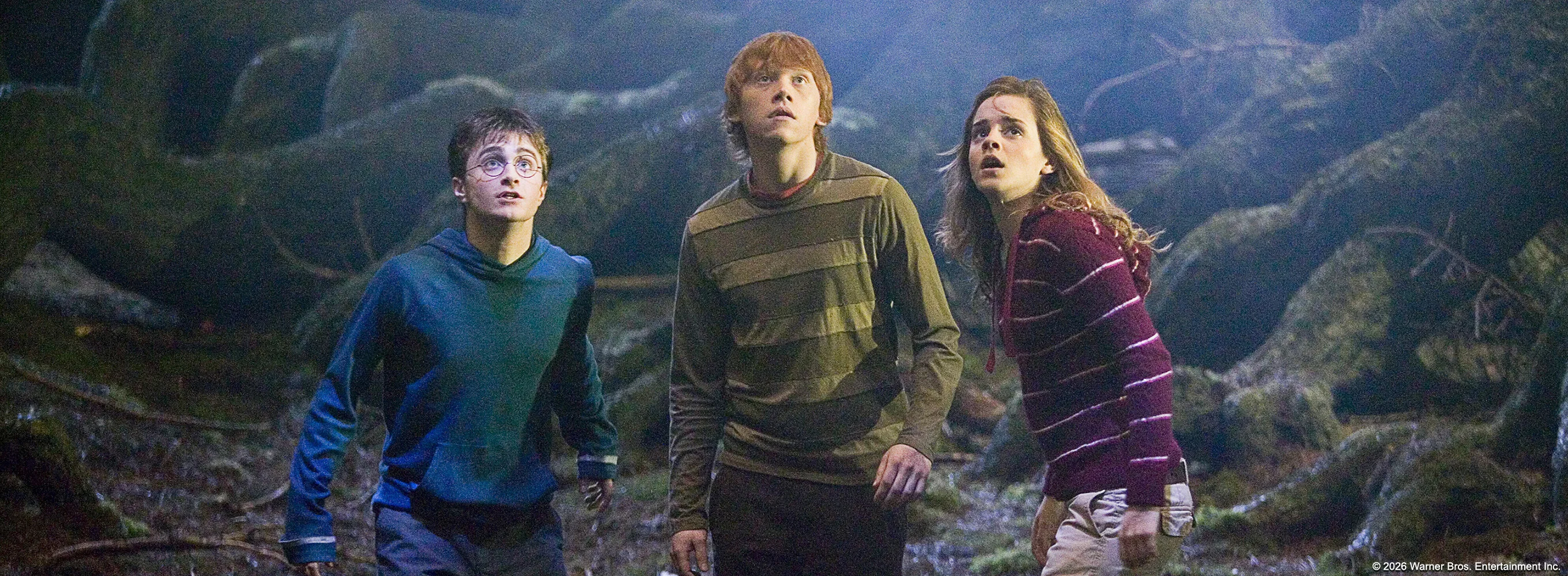 Harry Potter and the Order of the Phoenix