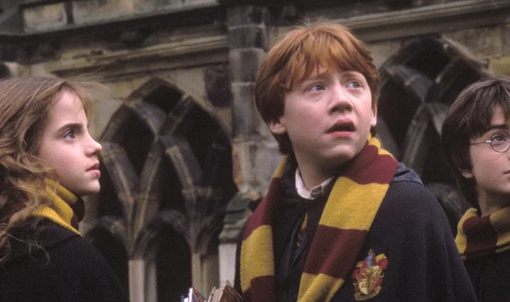 Harry Potter and the Chamber of Secrets