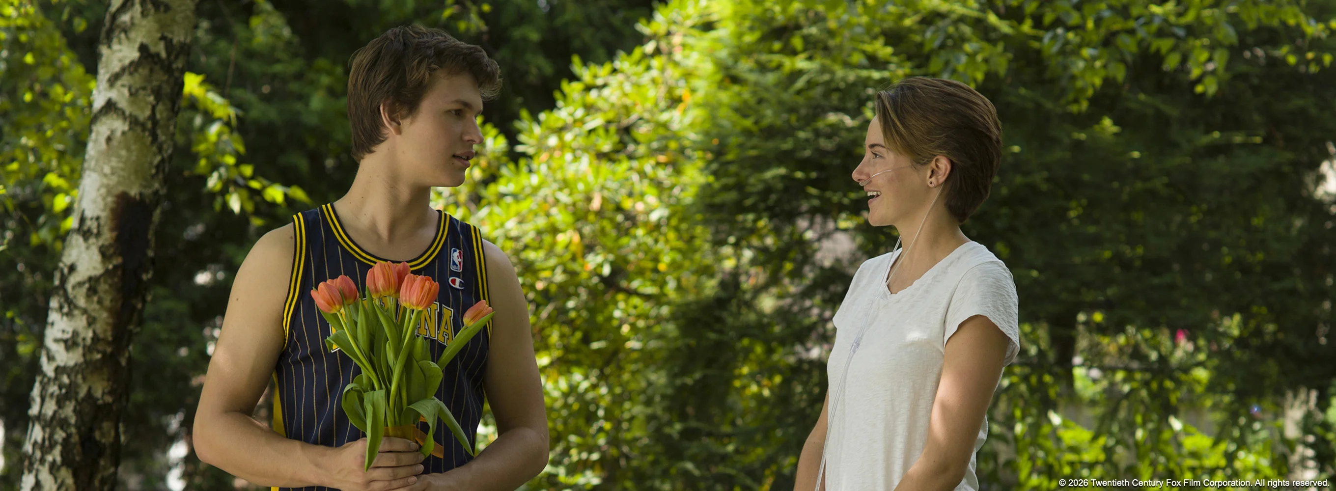 The Fault in Our Stars