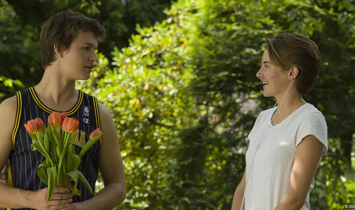 The Fault in Our Stars