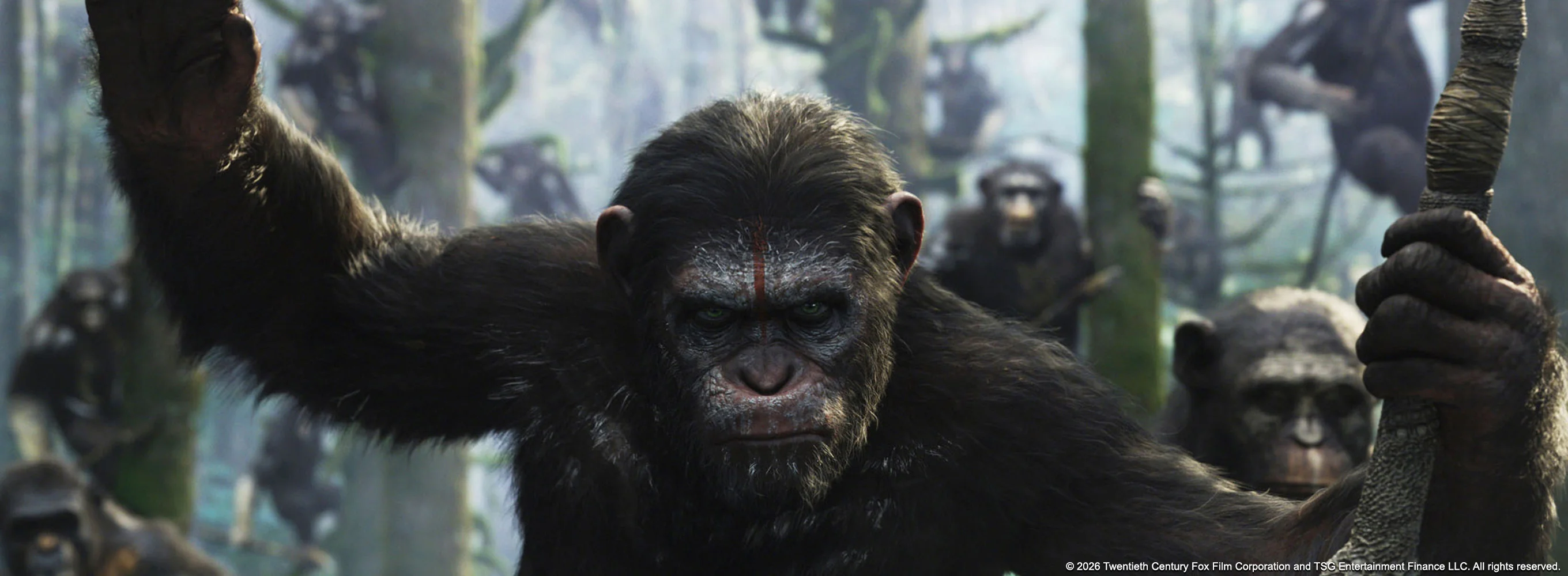 Dawn of the Planet of the Apes