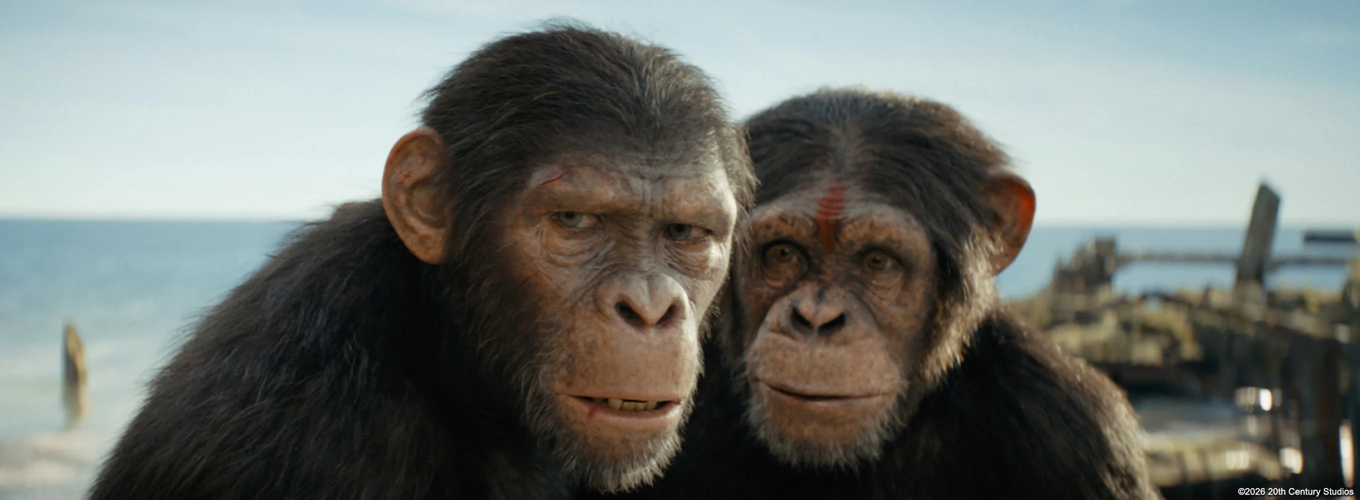 Kingdom of the Planet of the Apes