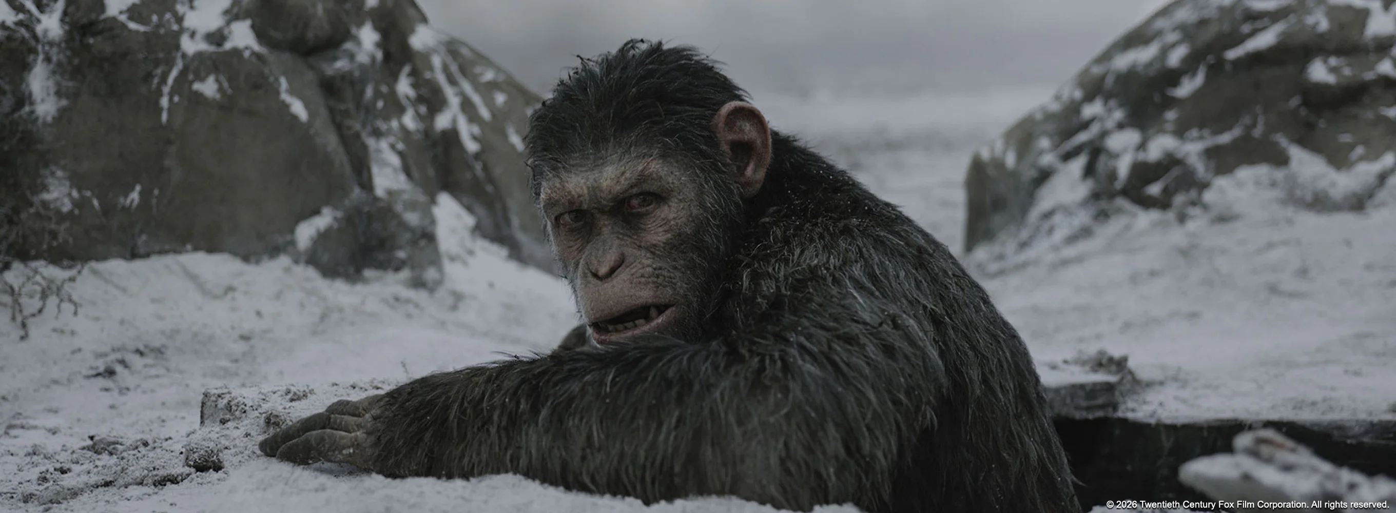War for the Planet of the Apes