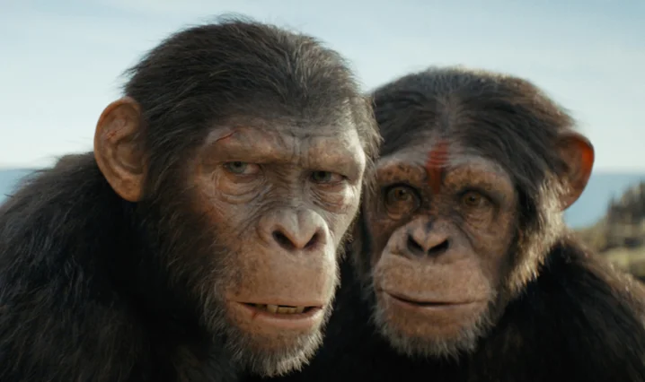 Kingdom of the Planet of the Apes