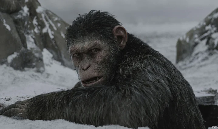 War for the Planet of the Apes