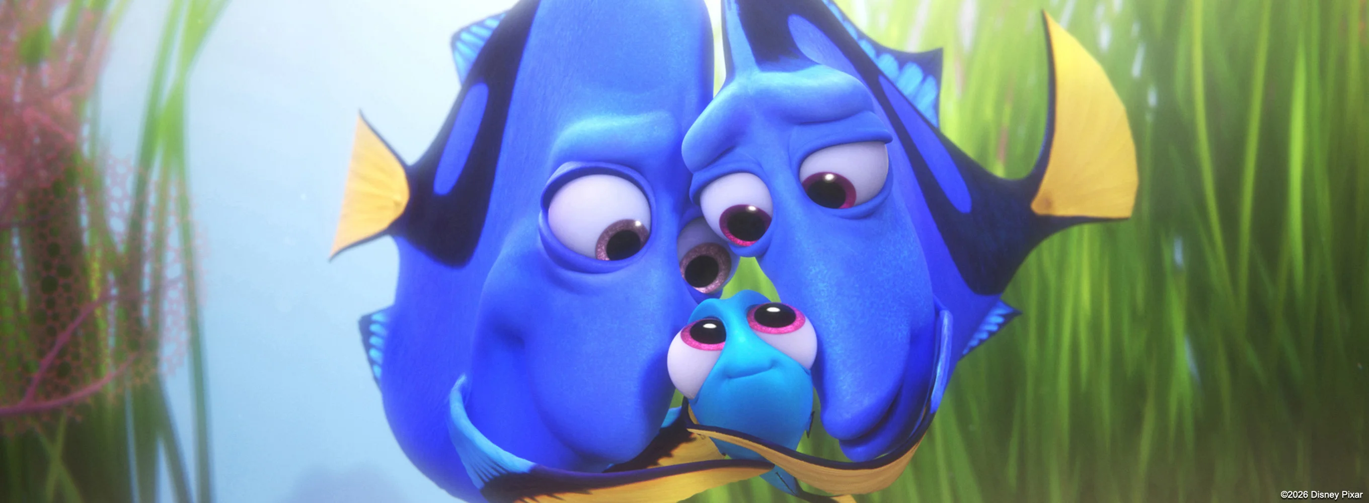 Finding Dory