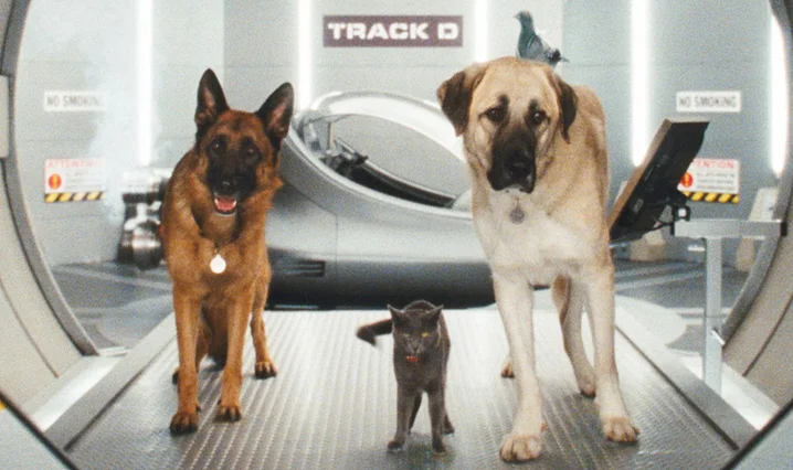 Cats and Dogs: The Revenge of Kitty Galore