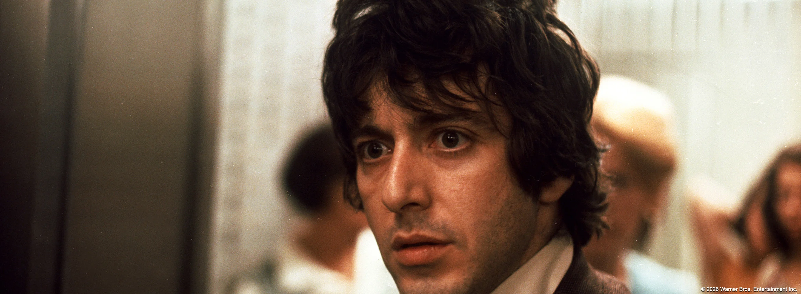 Dog Day Afternoon