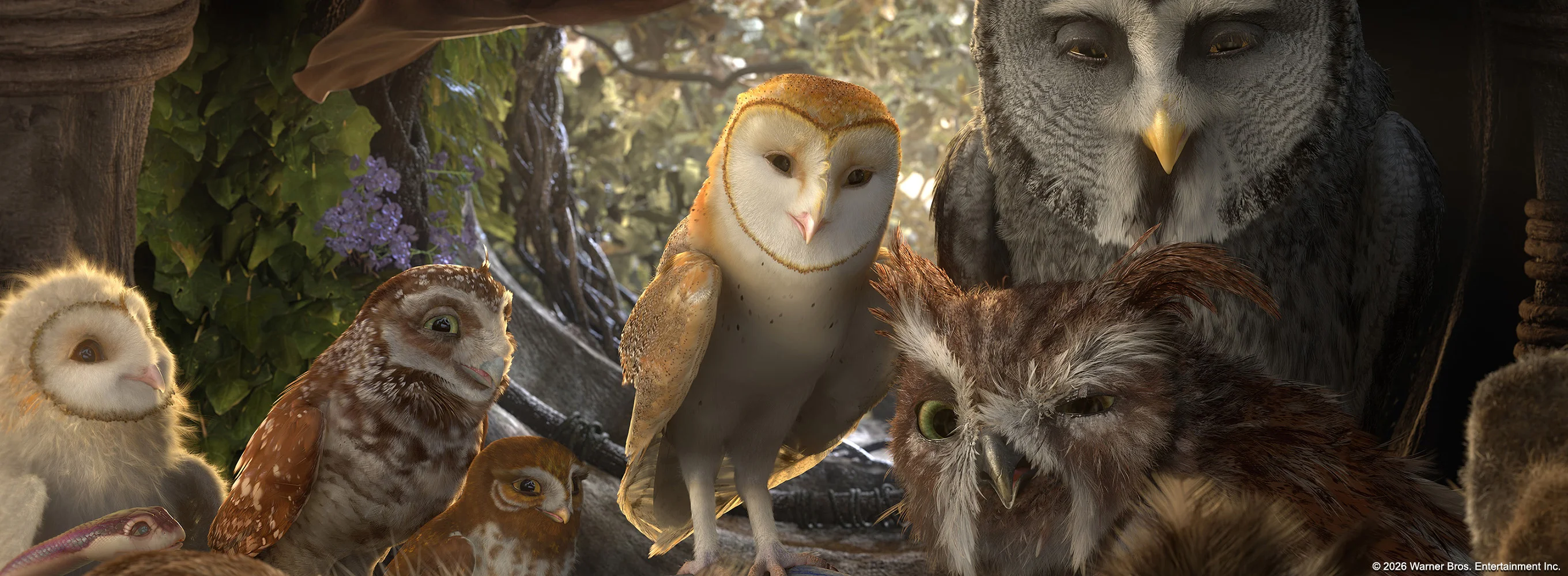 Legend of the Guardians: The Owls of Ga'Hoole
