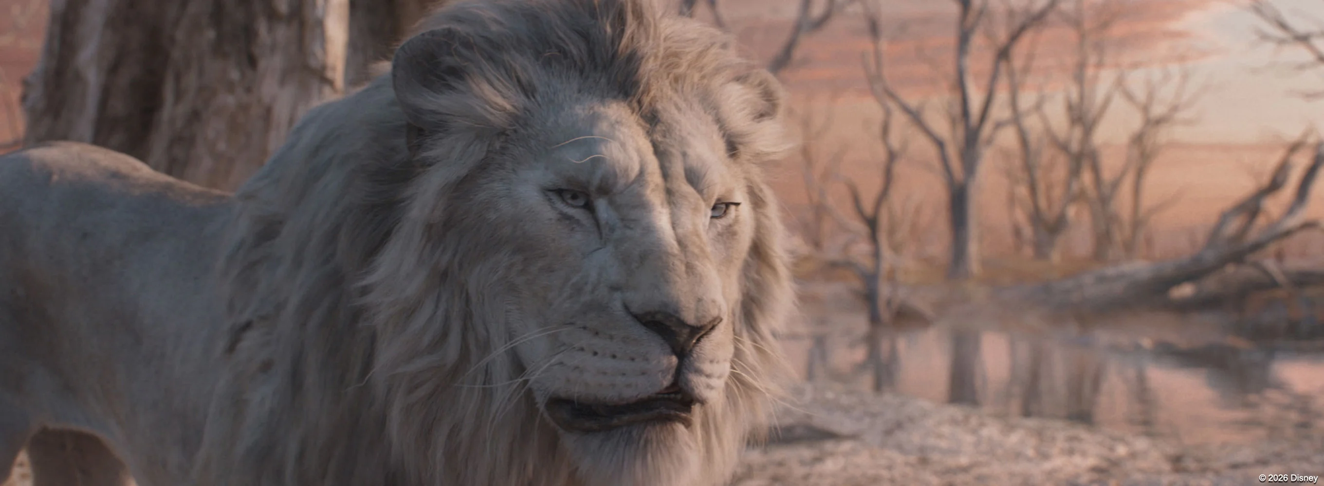 Mufasa: The Lion King