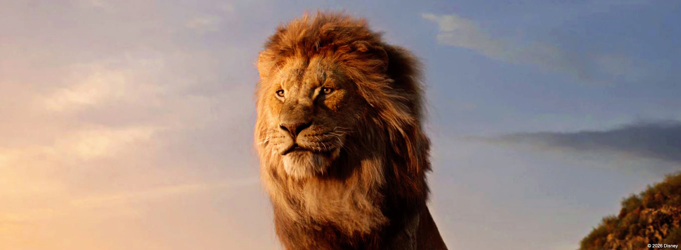The Lion King