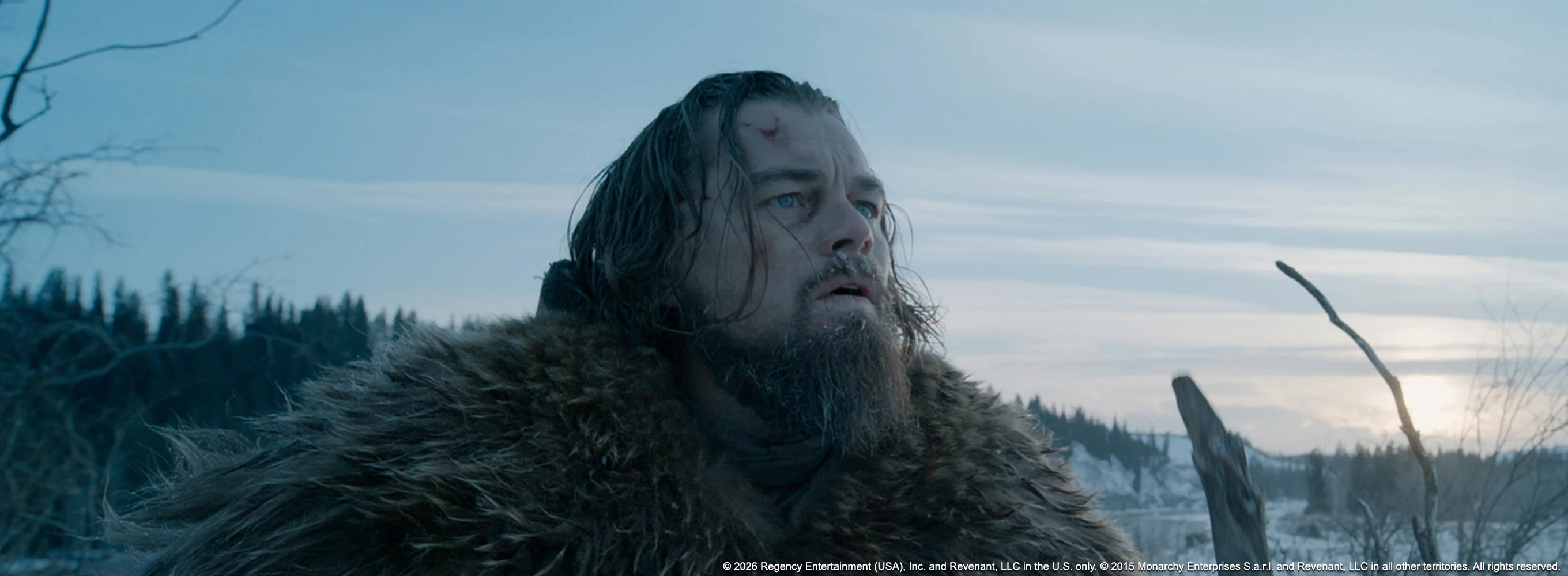 The Revenant