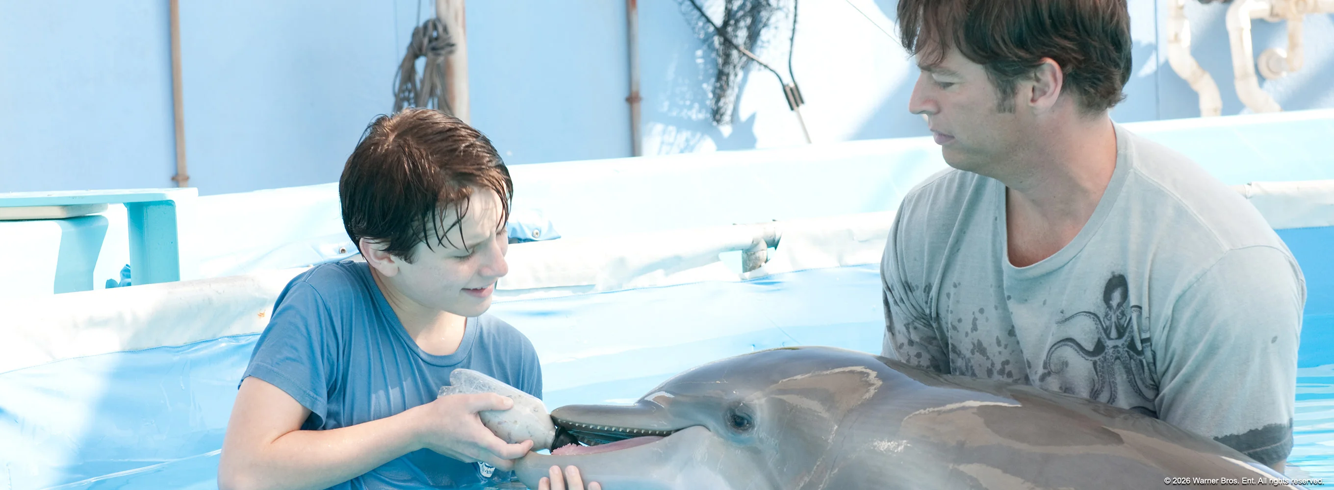 Dolphin Tale