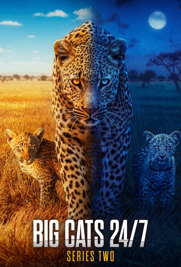 Big Cats 24/7
