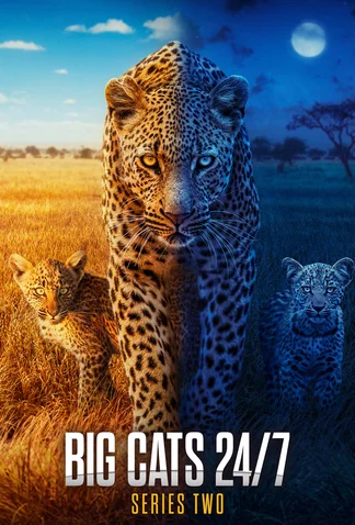 Big Cats 24/7
