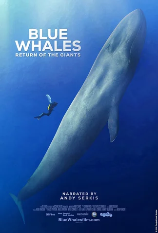Blue Whales: Return Of The Giants