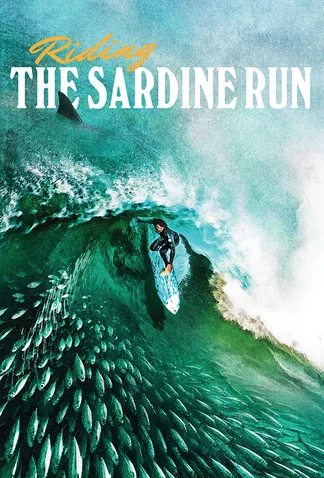 Riding the Sardine Run
