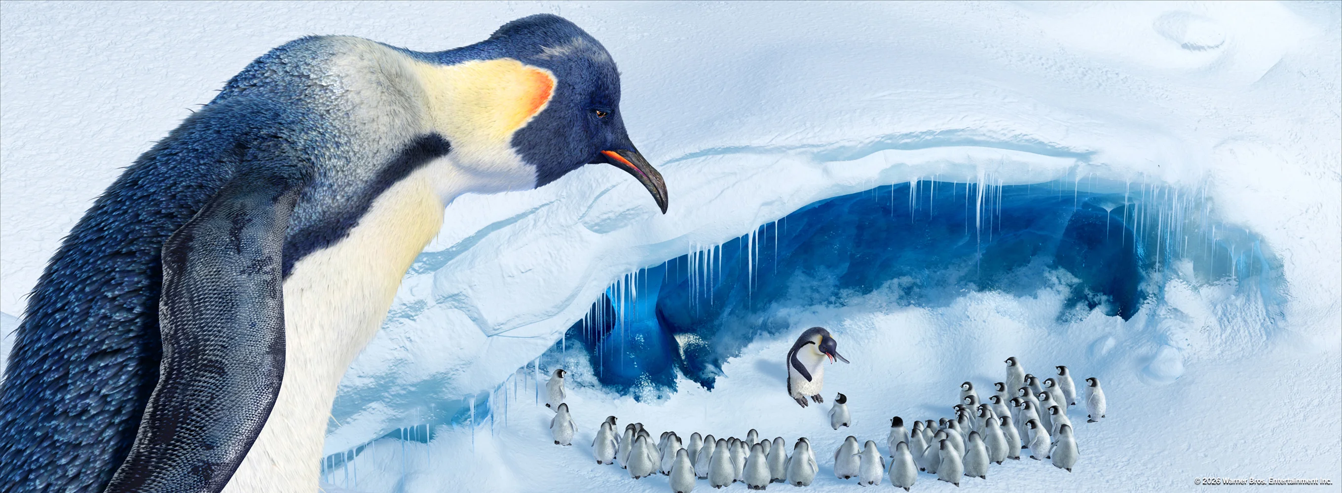 Happy Feet