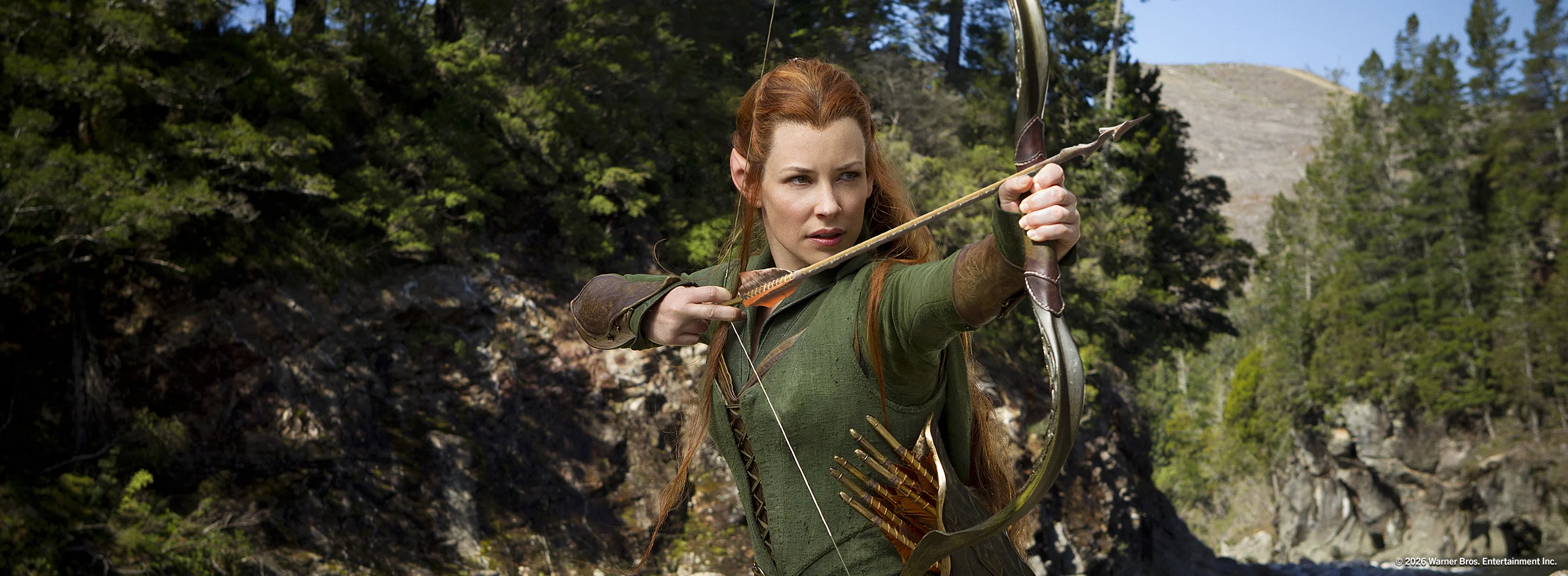 The Hobbit: The Desolation of Smaug